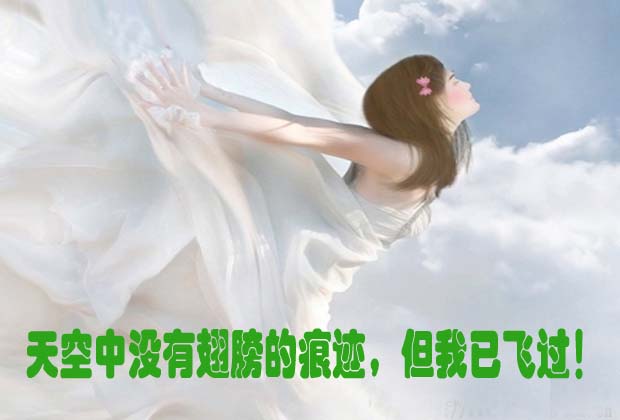 翅膀的痕迹 拷贝.jpg