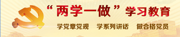 两学一做条.jpg