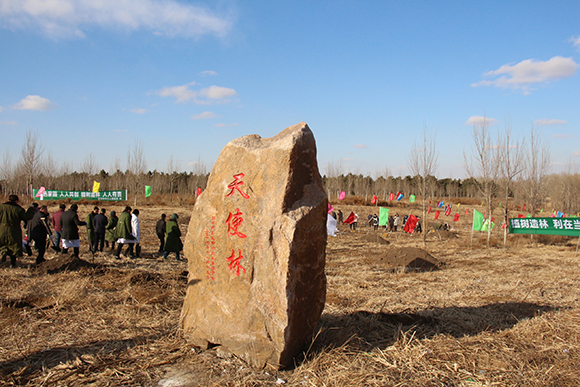 天使林.jpg